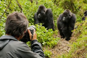 Equator Uganda Safaris - Bwindi Impenetrable National Park
